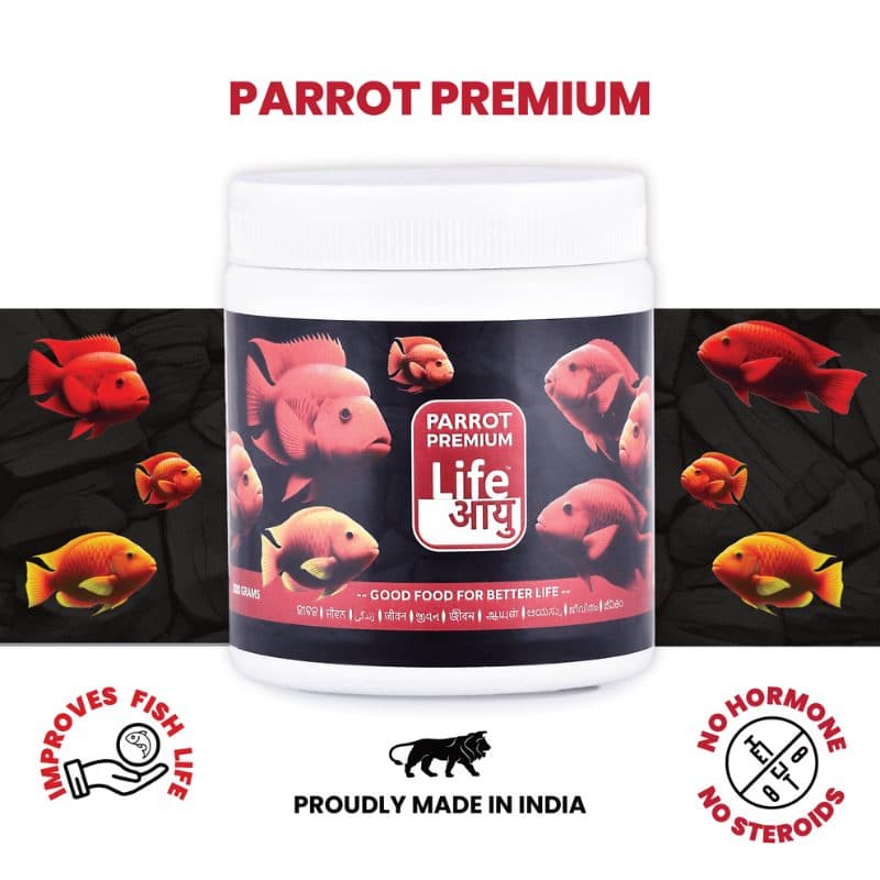 Life Aayu Parrot Premium 100 g