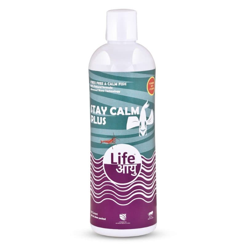 Life Aayu Stay Calm