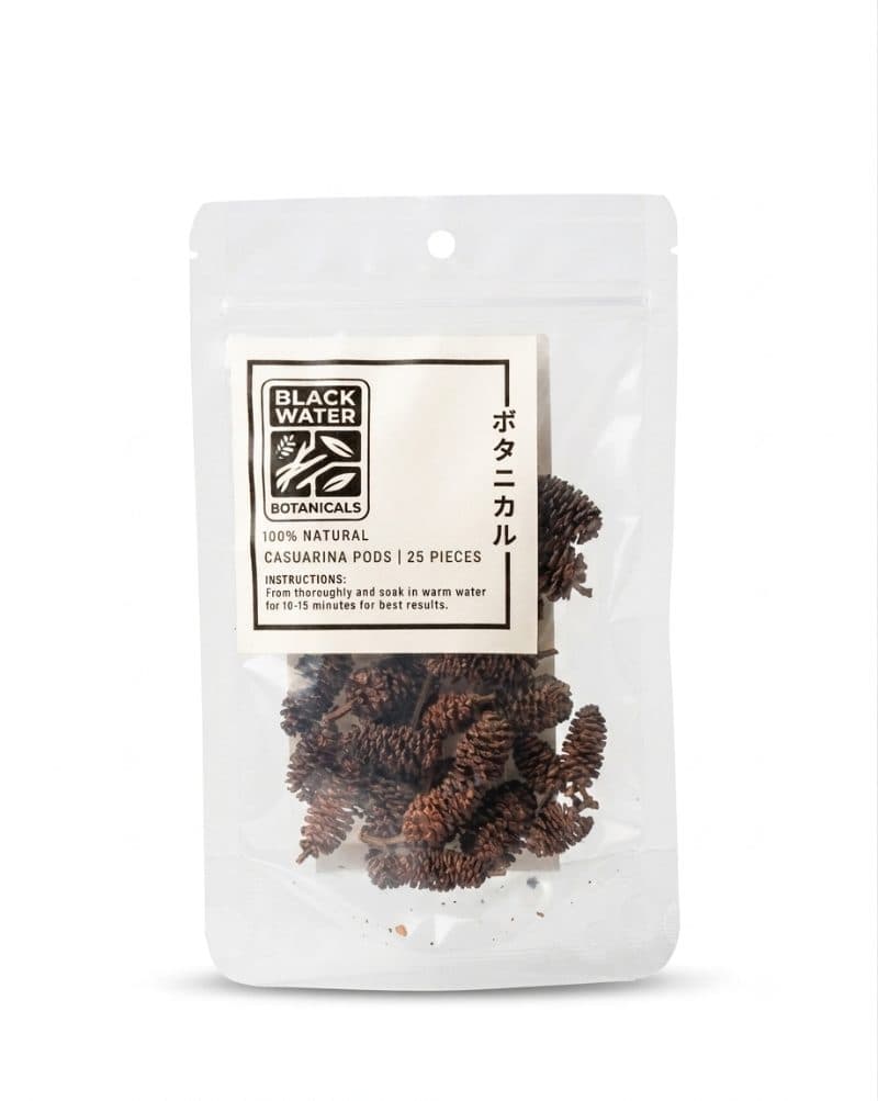 Black water Botanicals - Natural Casuarina Pods