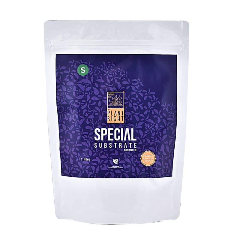 The Plant Right series Special Substrate