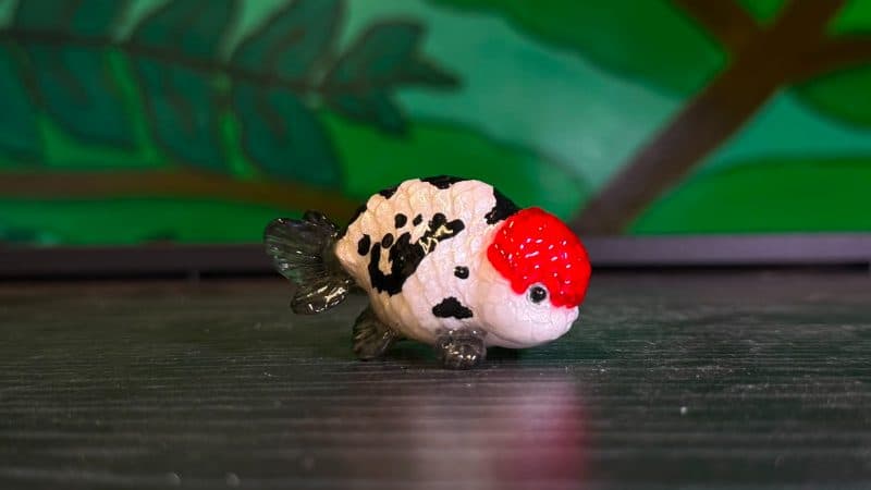 Handcrafted Glass Goldfish Miniatures Panda Redcap