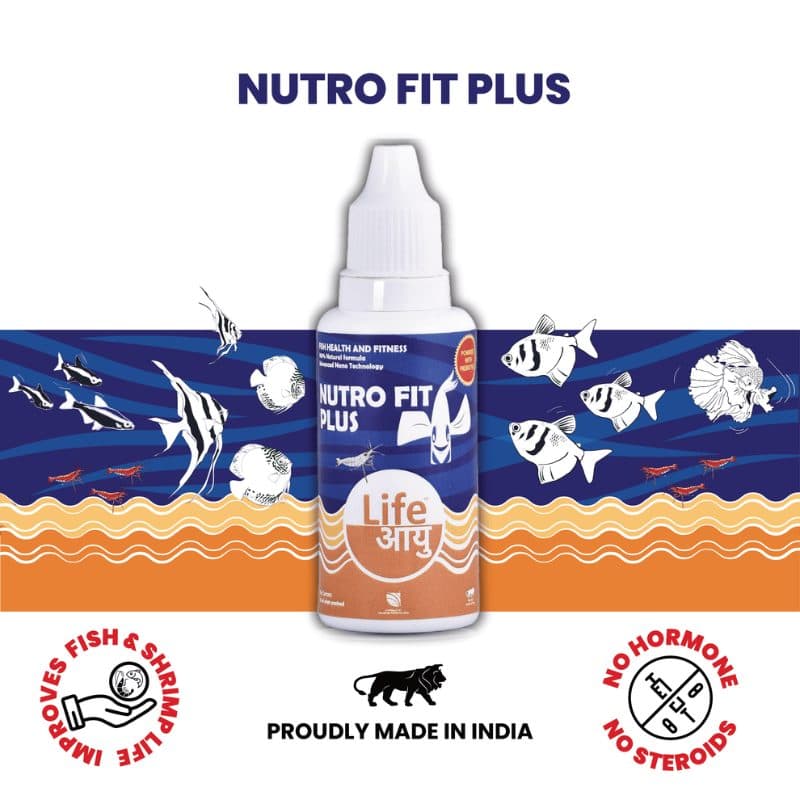 Life Aayu Nutro Fit Plus
