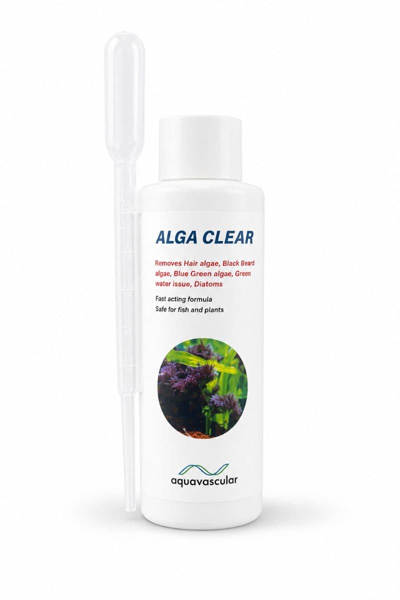 Aquavasculars Alga Clear